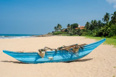 avuç içi ve tekneler Sri-Lanka ile tropikal plaj