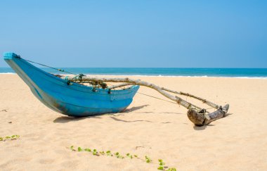 avuç içi ve tekneler Sri-Lanka ile tropikal plaj