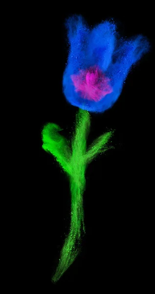 Flower made of colorfull powder splash. — Stock Photo, Image