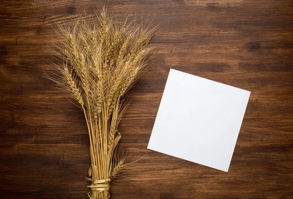 Wheat spikes on dark wooden board — Stock Photo, Image