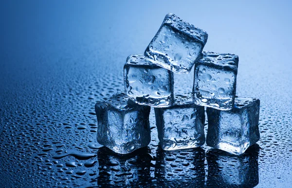 Cubos de gelo molhado no fundo azul — Fotografia de Stock