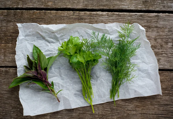 Herbes fraîches. Aneth, basilic et persil sur fond rustique — Photo