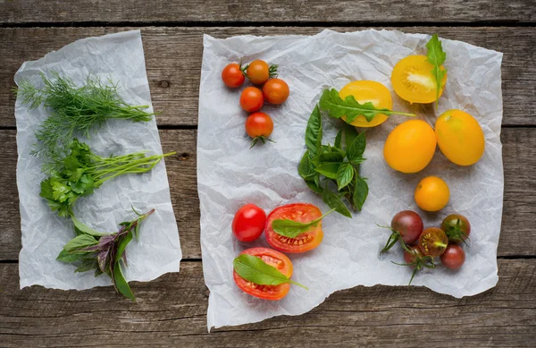 Fresh tomatos. Dill, basil and parsley tomaros  on rustic background — Stock Photo, Image