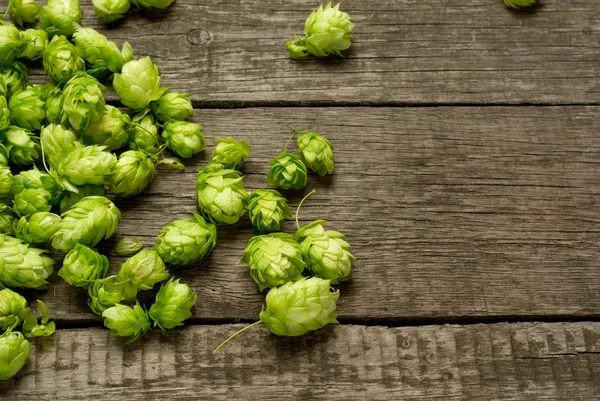 Fresh green hops on a wooden table — Stock Photo, Image