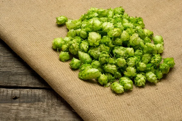 Fresh green hops on burlap background. Top view. — Stock Photo, Image