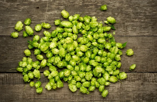 Fresh green hops on a wooden table — Stock Photo, Image