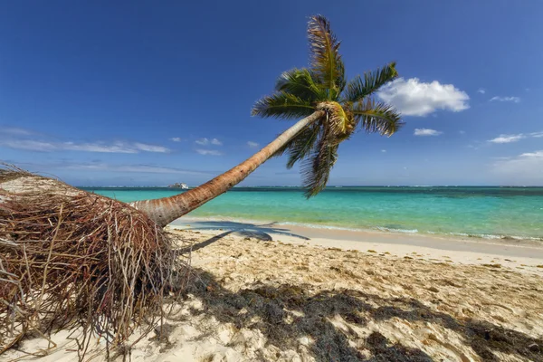 Atlantik Okyanusu güzelliği