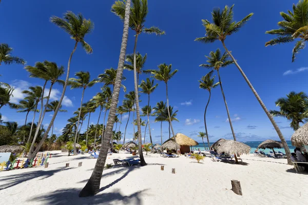 Atlantik Okyanusu güzelliği