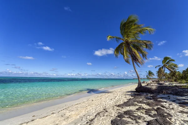 Atlantik Okyanusu güzelliği