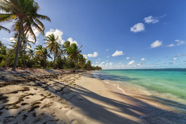 Atlantik sahil büyüleyici