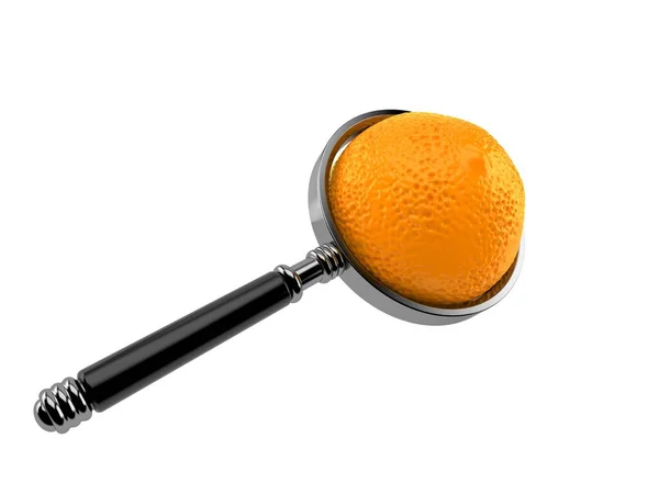 Orange Avec Loupe Isolée Sur Fond Blanc Illustration — Photo