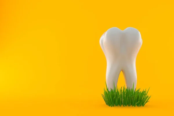 Dente Grama Isolado Fundo Laranja Ilustração — Fotografia de Stock