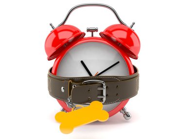 Köpek tasması içinde çalar saat