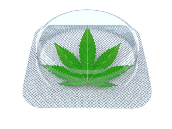Liść Marihuany Wewnątrz Pudełka Pigułki Izolowane Białym Tle Ilustracja — Zdjęcie stockowe