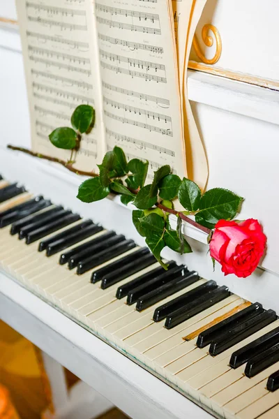 ピアノの鍵盤と楽譜に赤いバラ — ストック写真