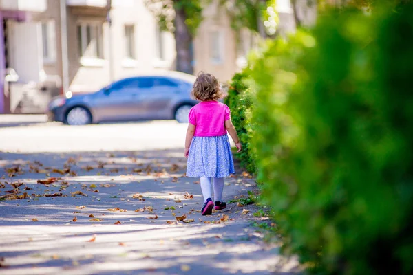 Κοριτσάκι, περπατώντας μέσα από το πάρκο ψάχνει για κάτι γυρισμός — Φωτογραφία Αρχείου