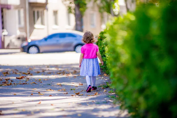 Niña caminando por el parque en busca de algo que regrese —  Fotos de Stock