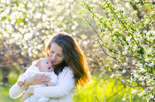 Маленький мальчик со своей молодой матерью в цветущем саду — стоковое фото