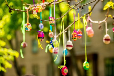 Birkaç Paskalya yumurta bir ağaç dalına asılı renkli 