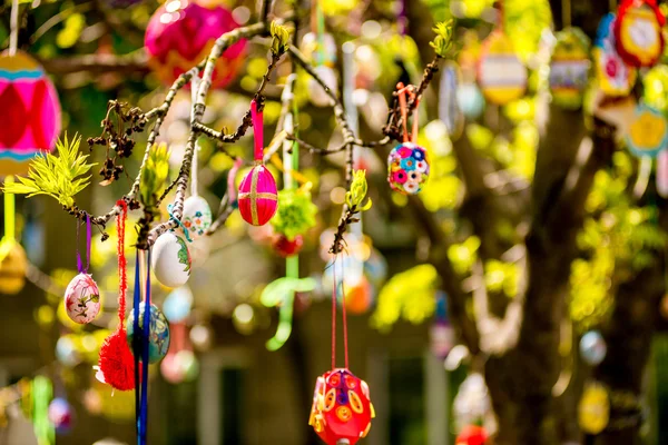 Birkaç Paskalya yumurta bir ağaç dalına asılı renkli 