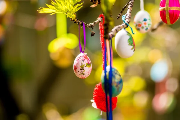 Birkaç Paskalya yumurta bir ağaç dalına asılı renkli 