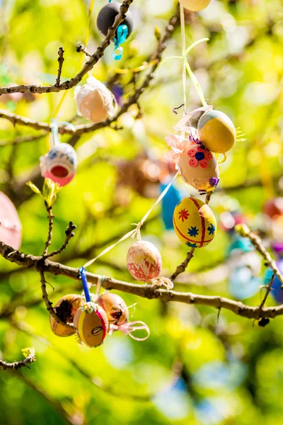 Several Easter colored eggs hanging on a tree branch