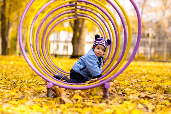 Little baby boy in the autumn park — Stock Photo, Image