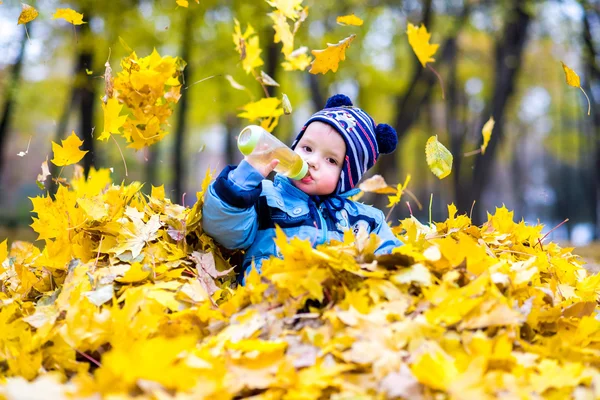Un niño jugando con hojas en el bosque otoñal — Foto de Stock