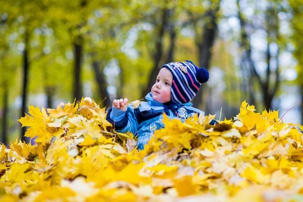 Un niño jugando con hojas en el bosque otoñal — Foto de Stock