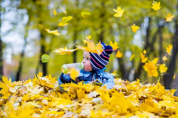 A small boy  playing with leaves in the autumn forest — Stock Photo, Image