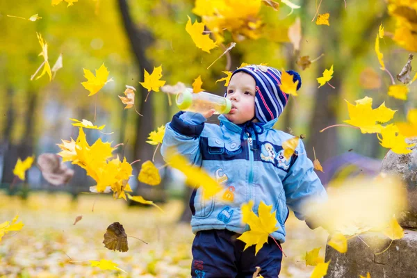 A small boy  playing with leaves in the autumn forest — Stock Photo, Image