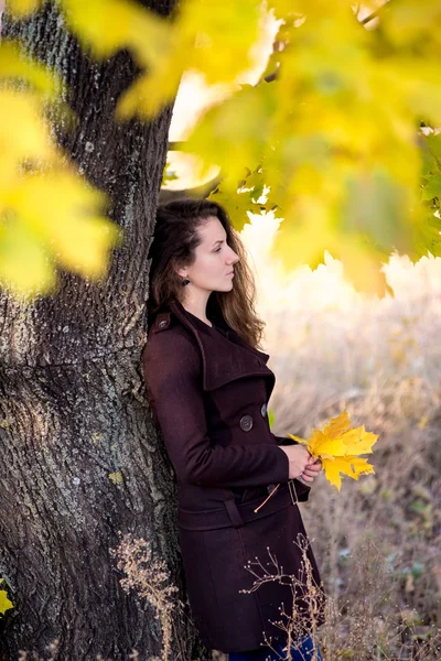 Giovane donna nel parco autunnale in piedi vicino albero — Foto Stock