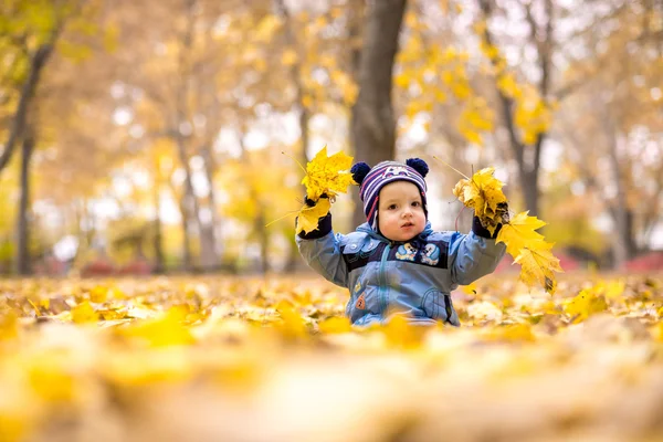 Little baby boy in the autumn park — Stock Photo, Image