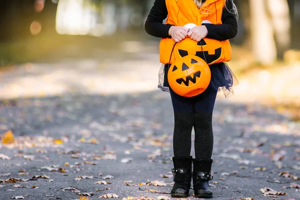 Joyeux Halloween Petite Sorcière Mignonne Avec Panier Dans Parc — Photo