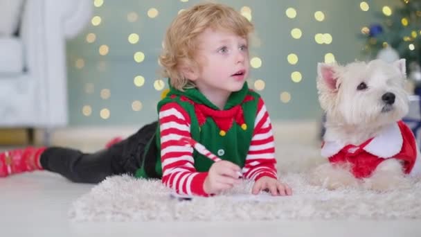 Feliz Natal. Um menino em uma camisola de Ano Novo encontra-se no chão com um cão por uma árvore de Natal elegante e escreve uma carta para Papai Noel — Vídeo de Stock