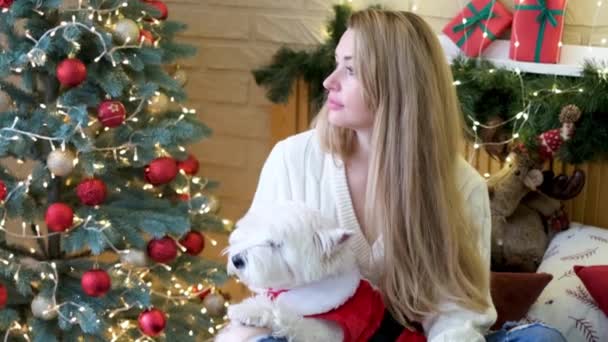 Очаровательная девушка любит и ласкает симпатичного белого терьера Вест Хайленд под деревом. Девушка гладит собаку. Рождество. Новый год. Концепция рекламы. подходит для продвижения Рождества — стоковое видео