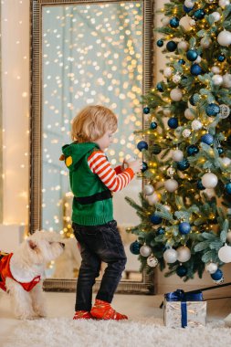 Sevimli küçük çocuk Noel ağacını toplarla süslüyor.