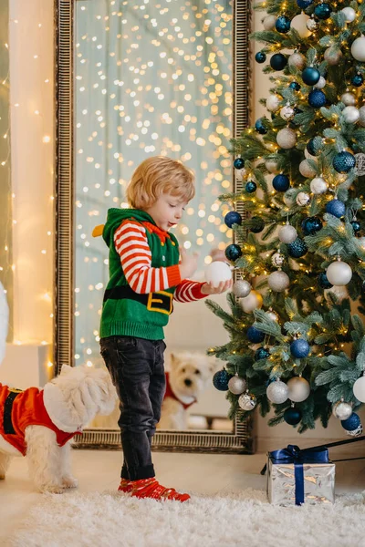 Mignon Petit Enfant Décore Sapin Noël Avec Des Boules — Photo