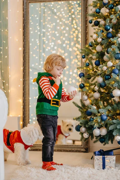 Mignon Petit Enfant Décore Sapin Noël Avec Des Boules — Photo