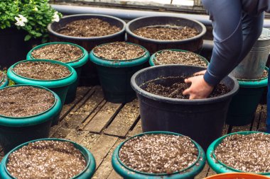 Büyük saksılarda saksı toprağı