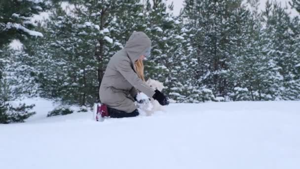 Atraktivní žena v teplých šatech a rukavicích si v zimě hraje se západohorským bílým teriérem v lese, pejsek si užívá sněhu a větru, zimní magie, zpomalený pohyb — Stock video