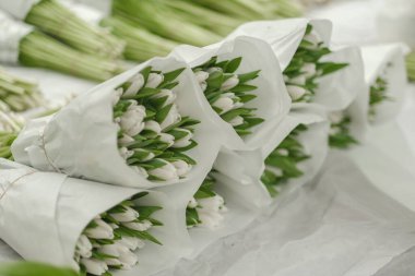 Çiçek pazarında kağıda sarılı taze beyaz laleler, bahar çiçeği aranjmanı..