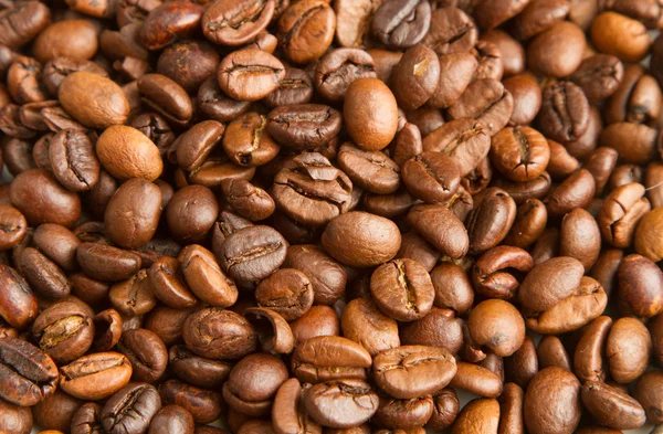 Coffee beans — Stock Photo, Image