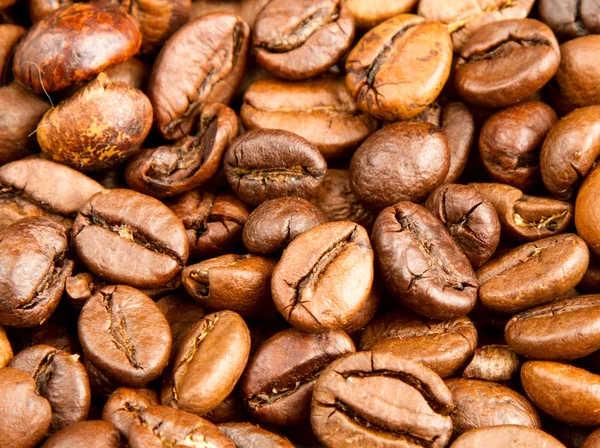 Coffee beans — Stock Photo, Image