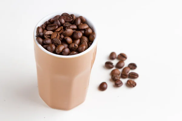 Coffee beans — Stock Photo, Image