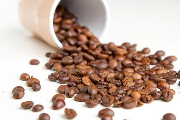 Coffee beans — Stock Photo, Image