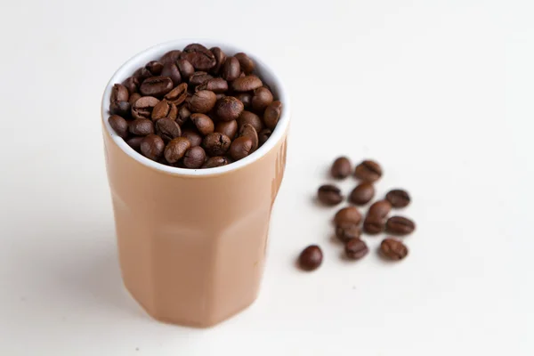 Coffee beans — Stock Photo, Image