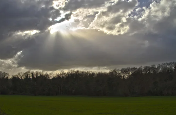 God light — Stock Photo, Image