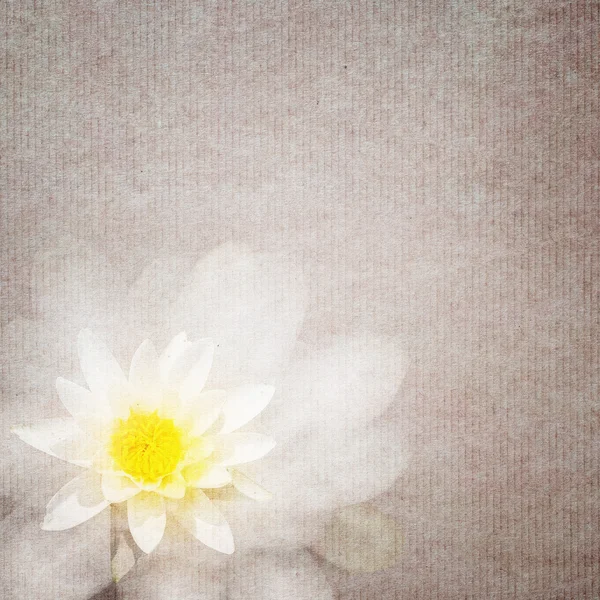 Textured old paper background with flower — Stock Photo, Image