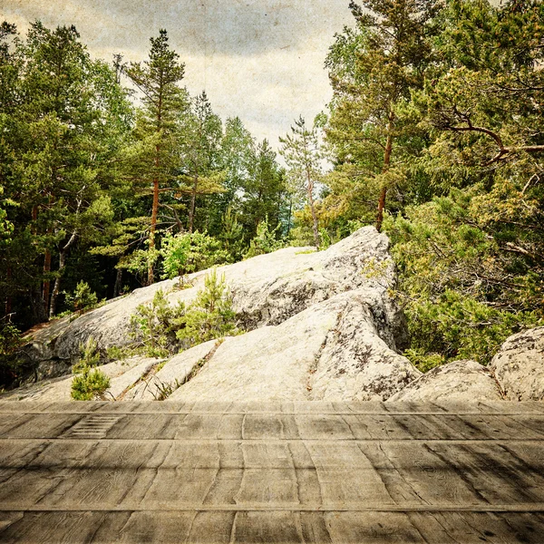 Märchenwald im Retro-Stil. Papier Jahrgang strukturiert. Berglandschaft, Holzboden mit Naturhintergrund — Stockfoto